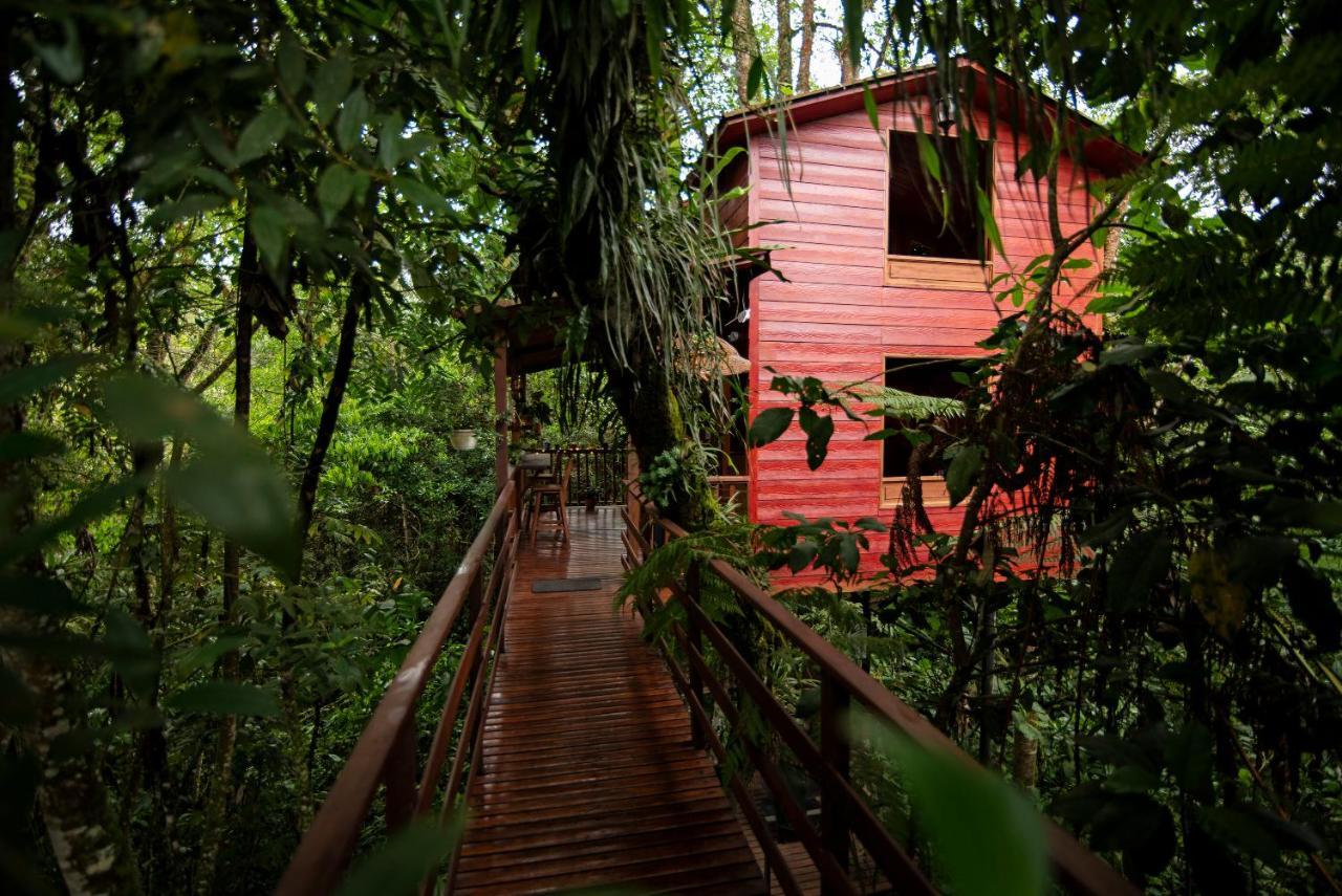 Tominejo Ecolodge - Casas En Los Arboles Neira Ngoại thất bức ảnh
