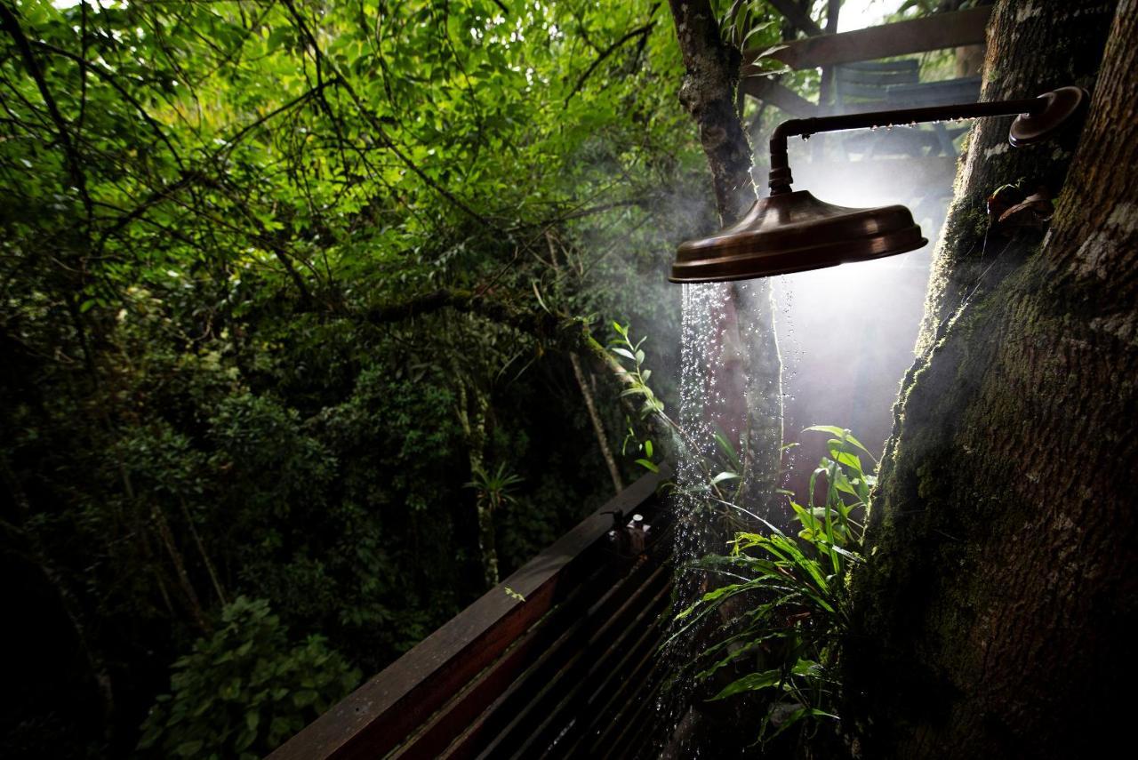 Tominejo Ecolodge - Casas En Los Arboles Neira Ngoại thất bức ảnh