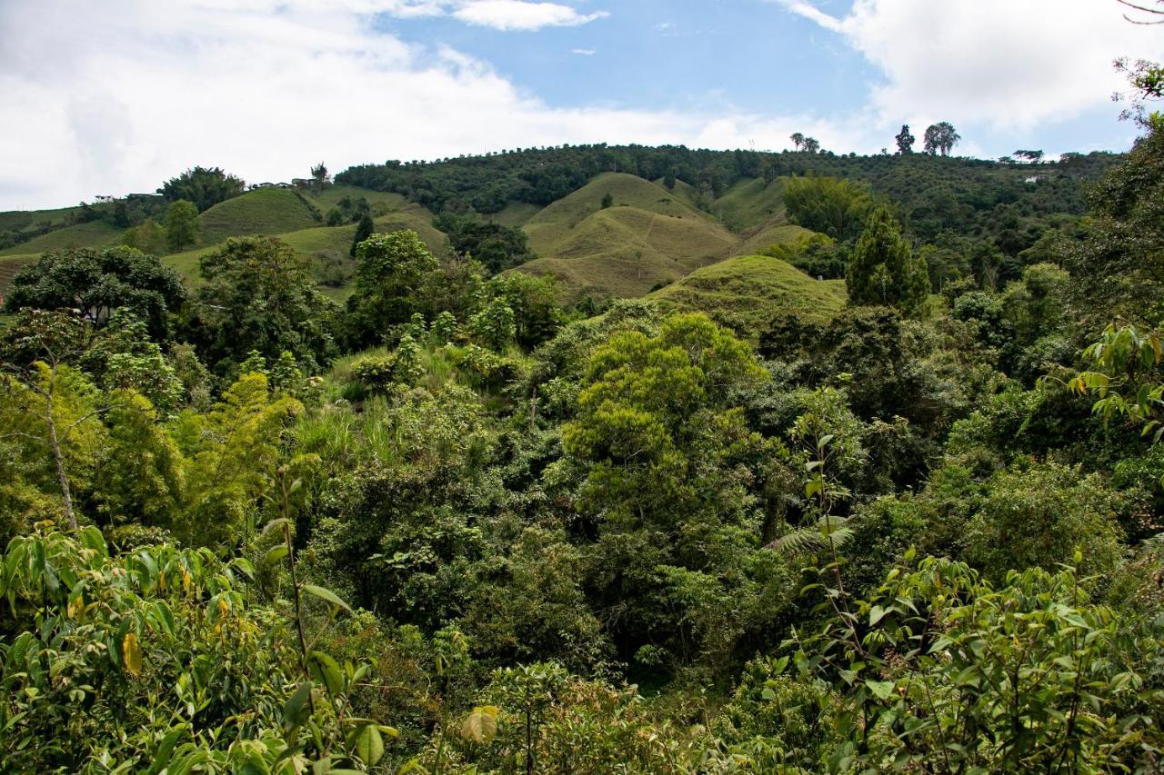 Tominejo Ecolodge - Casas En Los Arboles Neira Ngoại thất bức ảnh