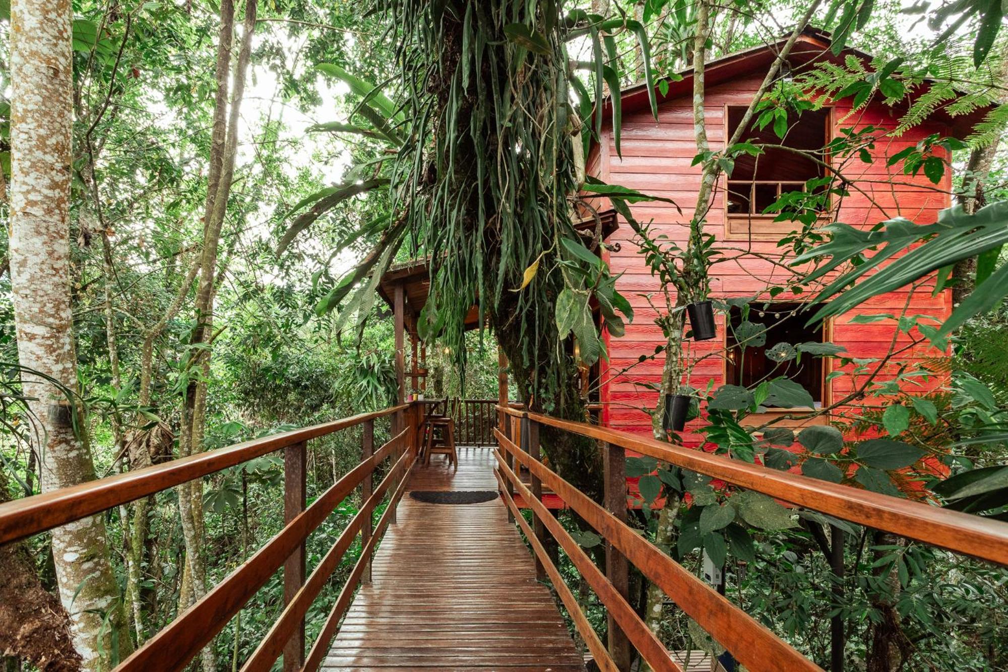 Tominejo Ecolodge - Casas En Los Arboles Neira Ngoại thất bức ảnh