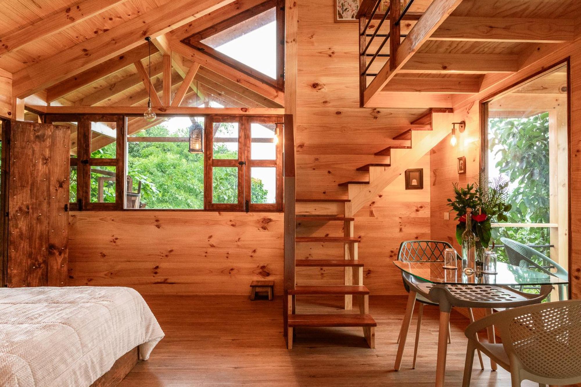Tominejo Ecolodge - Casas En Los Arboles Neira Ngoại thất bức ảnh