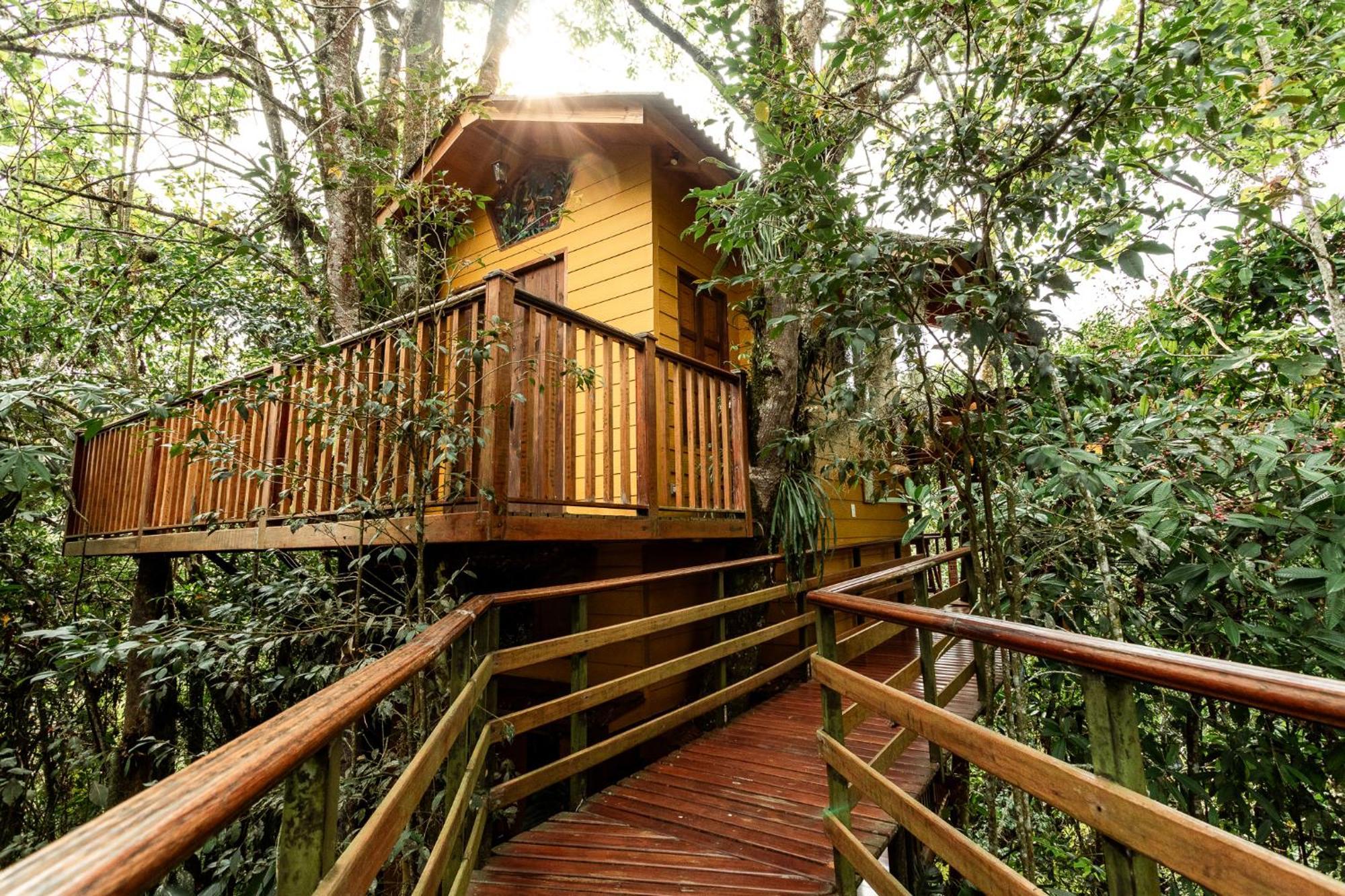 Tominejo Ecolodge - Casas En Los Arboles Neira Ngoại thất bức ảnh
