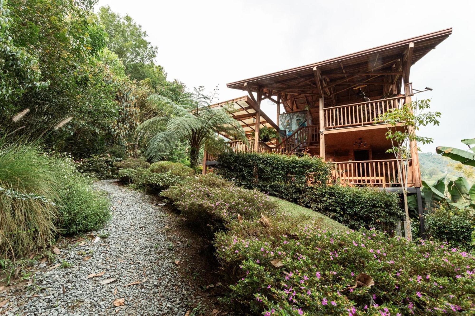 Tominejo Ecolodge - Casas En Los Arboles Neira Ngoại thất bức ảnh